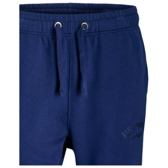 Jack & Jones Ανδρικό παντελόνι φόρμας